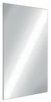 Populaire Miroir de toilette incassable inox 10 x 595 x 980 mm DELABIE