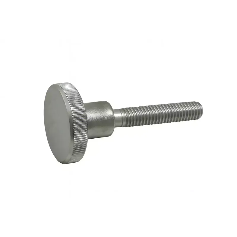 Achat Immédiat Vis à métaux moletées, Type haut – DIN 464 – M 6 x 30 – Inox A1