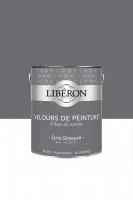 Acheter Direct Velours de peinture gris gravure en boîte de 2,50 l V33